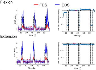 MCP extensors respond faster than flexors in individuals with severe-to-moderate stroke-caused impairment: Evidence of uncoupled neural pathways